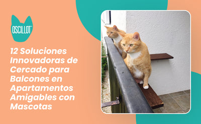 12 Soluciones Innovadoras de Cercado para Balcones en Apartamentos Amigables con Mascotas