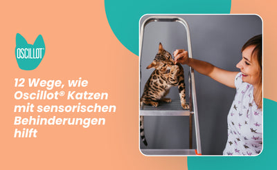 12 Wege, wie Oscillot® Katzen mit sensorischen Behinderungen hilft