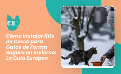 Cómo Instalar Kits de Cerca para Gatos de Forma Segura en Invierno: La Guía Europea