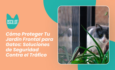 Cómo Proteger Tu Jardín Frontal para Gatos: Soluciones de Seguridad Contra el Tráfico