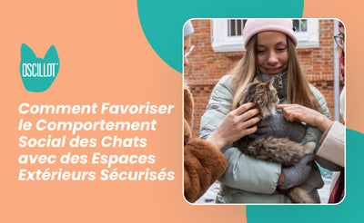 Comment Favoriser le Comportement Social des Chats avec des Espaces Extérieurs Sécurisés