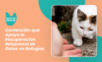 Contención que Apoya la Recuperación Behavioral de Gatos en Refugios