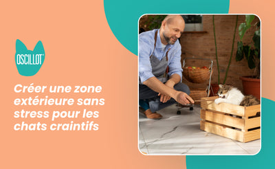 Créer une zone extérieure sans stress pour les chats craintifs