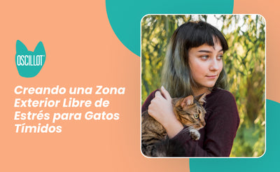 Creando una Zona Exterior Libre de Estrés para Gatos Tímidos