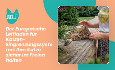 Der Europäische Leitfaden für Katzen-Eingrenzungssysteme: Ihre Katze sicher im Freien halten