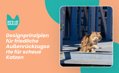 Designprinzipien für friedliche Außenrückzugsorte für scheue Katzen