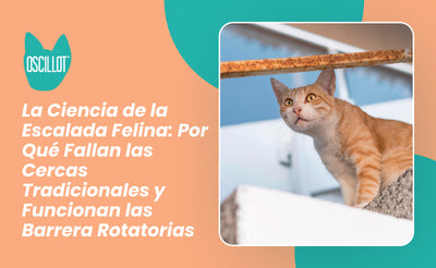 La Ciencia de la Escalada Felina: Por Qué Fallan las Cercas Tradicionales y Funcionan las Barreras Rotatorias