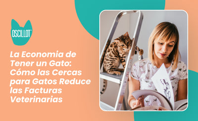 La Economía de Tener un Gato: Cómo las Cercas para Gatos Reducen las Facturas Veterinarias