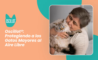 Oscillot®: Protegiendo a los Gatos Mayores al Aire Libre