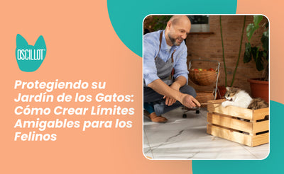 Protegiendo su Jardín de los Gatos: Cómo Crear Límites Amigables para los Felinos