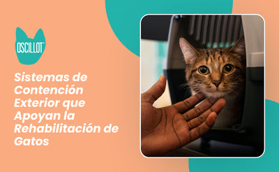 Sistemas de Contención Exterior que Apoyan la Rehabilitación de Gatos