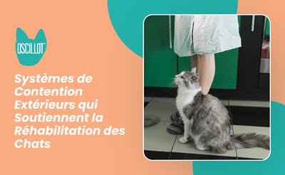 Systèmes de Contention Extérieurs qui Soutiennent la Réhabilitation des Chats