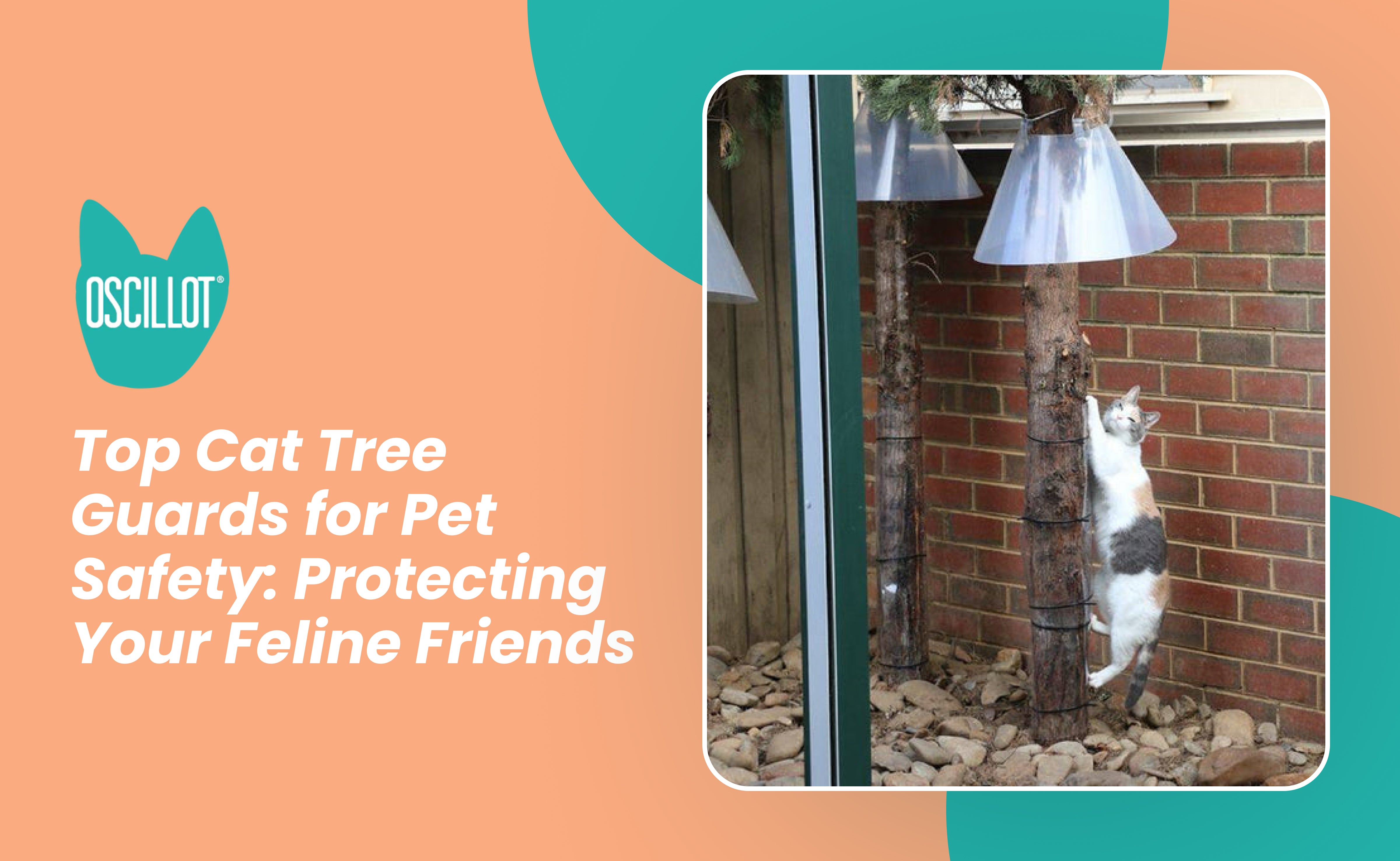 Tree Baffles For Cats Uk