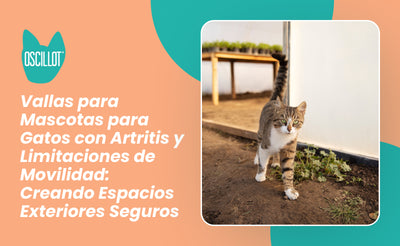 Vallas para Mascotas para Gatos con Artritis y Limitaciones de Movilidad: Creando Espacios Exteriores Seguros