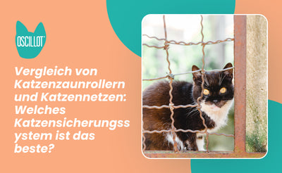 Vergleich von Katzenzaunrollern und Katzennetzen: Welches Katzensicherungssystem ist das beste?