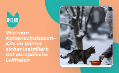 Wie man Katzenschutzzaun-Kits im Winter sicher installiert: Der europäische Leitfaden