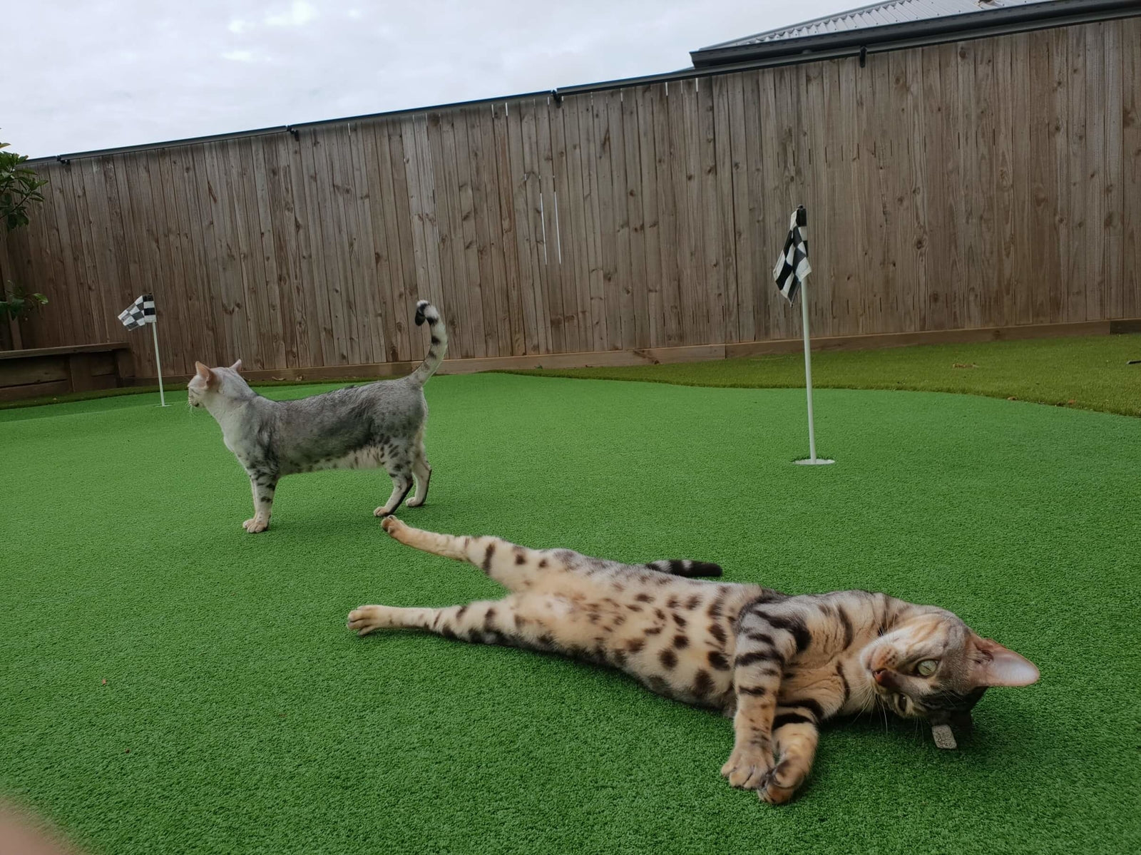 Installation Oscillot terminée